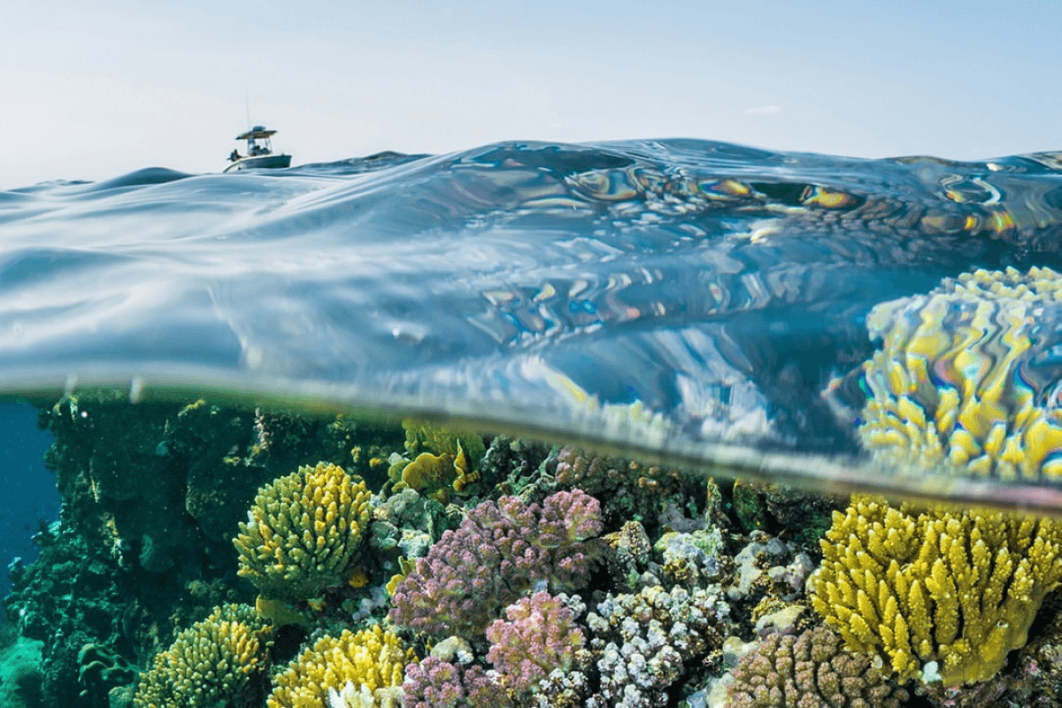 Beneath the Surface: Reasons to visit Saudi Arabia if you haven't already