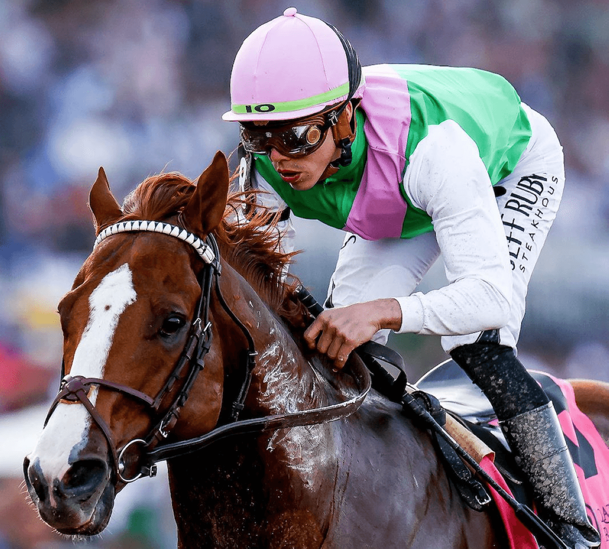 The Saudi Cup and the $20 million horse race