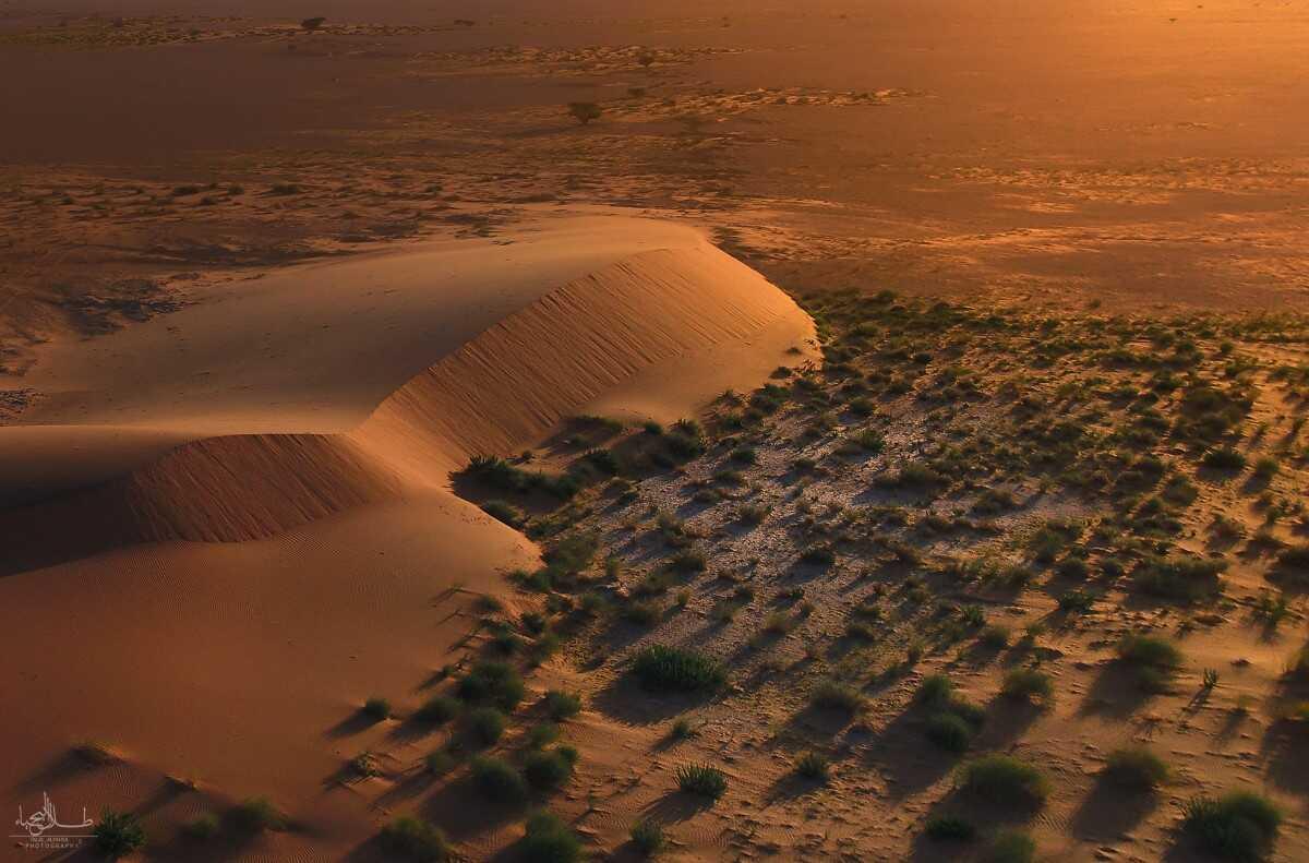 ‘Uruq Bani Mu’arid is one of the nation's largest nature reserves