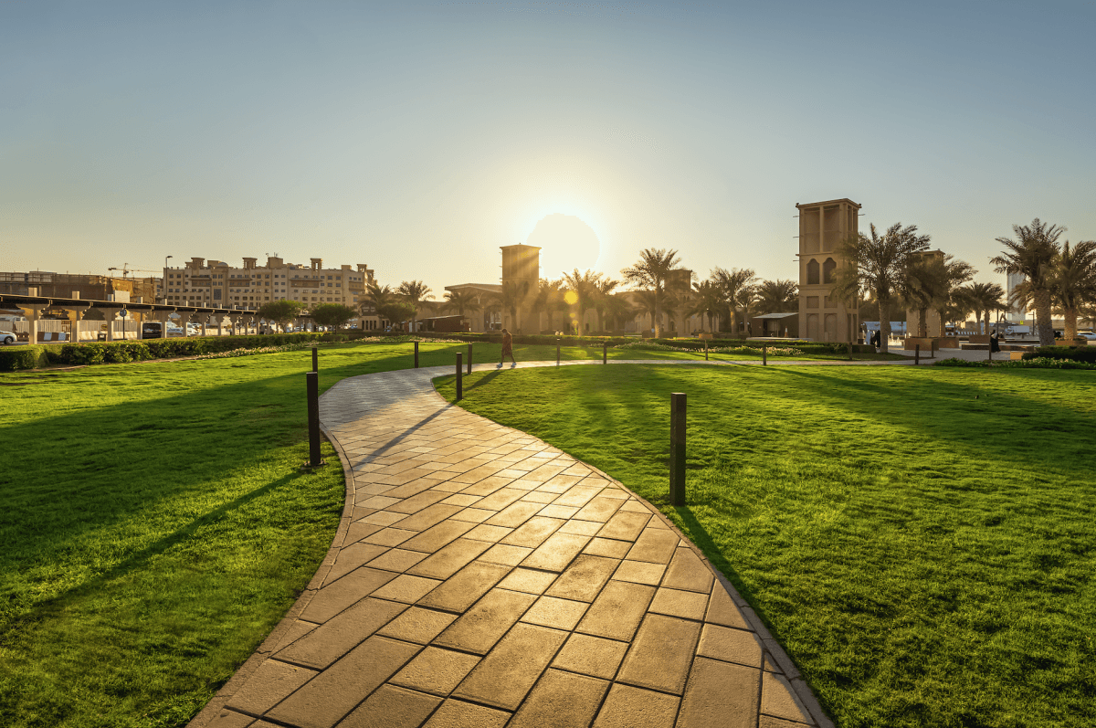 Supporting the Environment: Riyadh to get 20 new green spaces