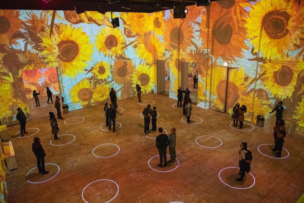 Rediscover Van Gogh at these immersive exhibits
