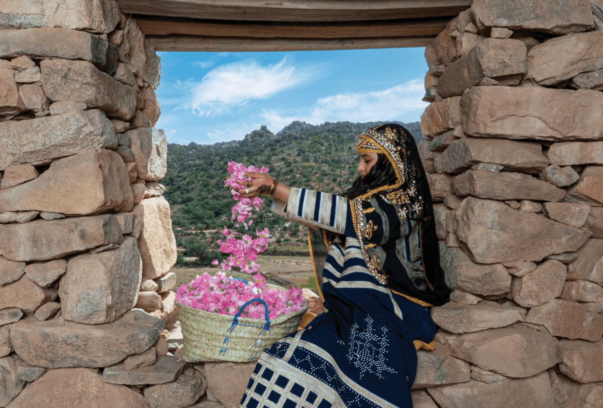 Don’t Miss Out: Taif Rose Festival 2023