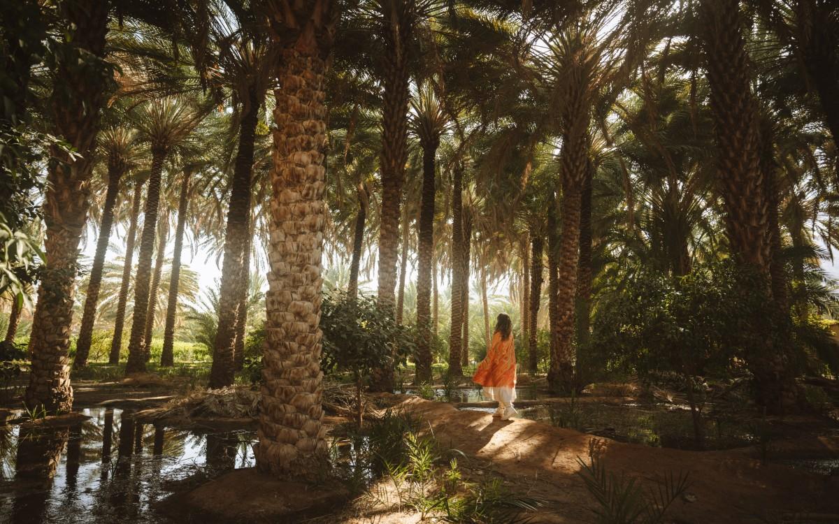 Max Muench's Visual Odyssey: Illuminating AlUla's untold narratives