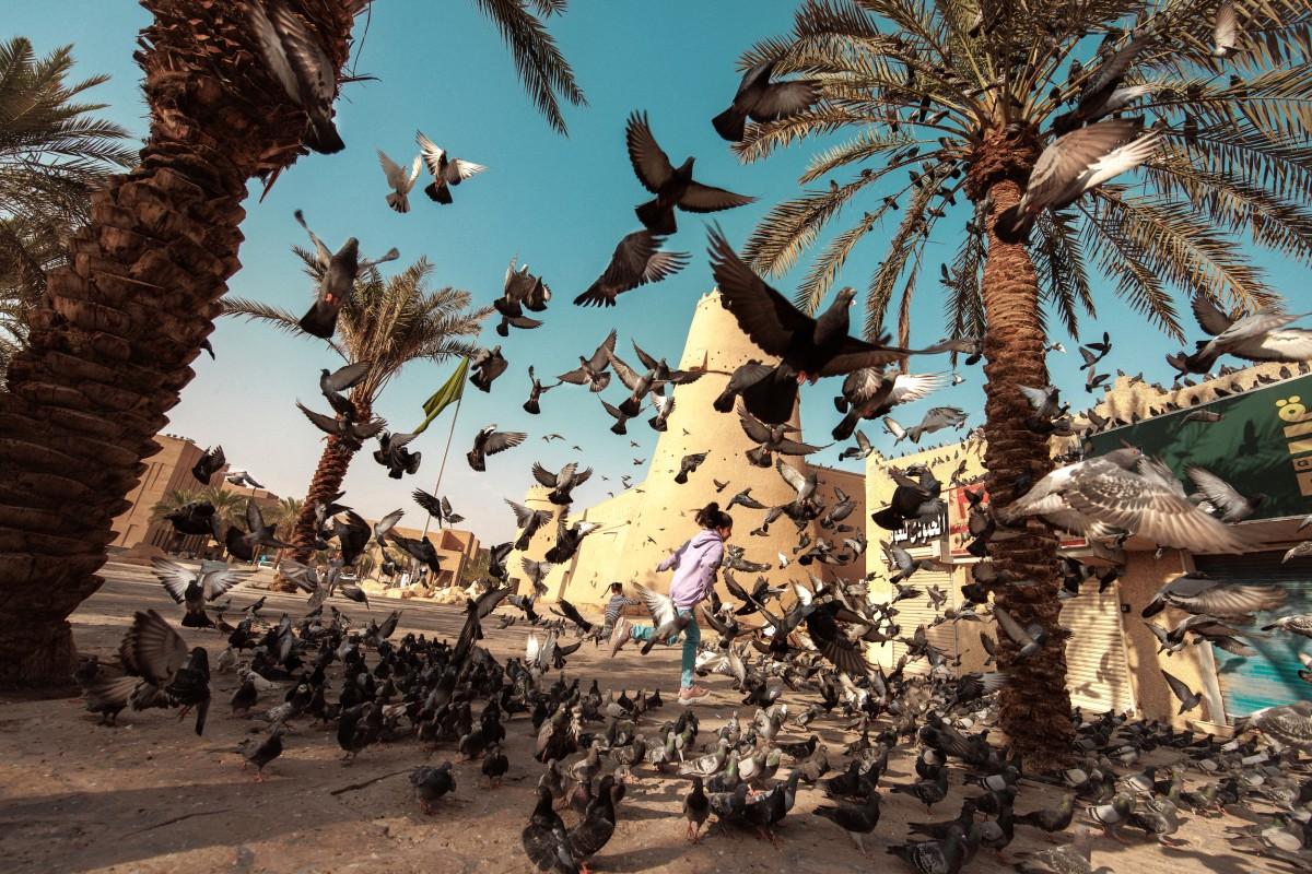 Children run through the street amidst birds taking flight