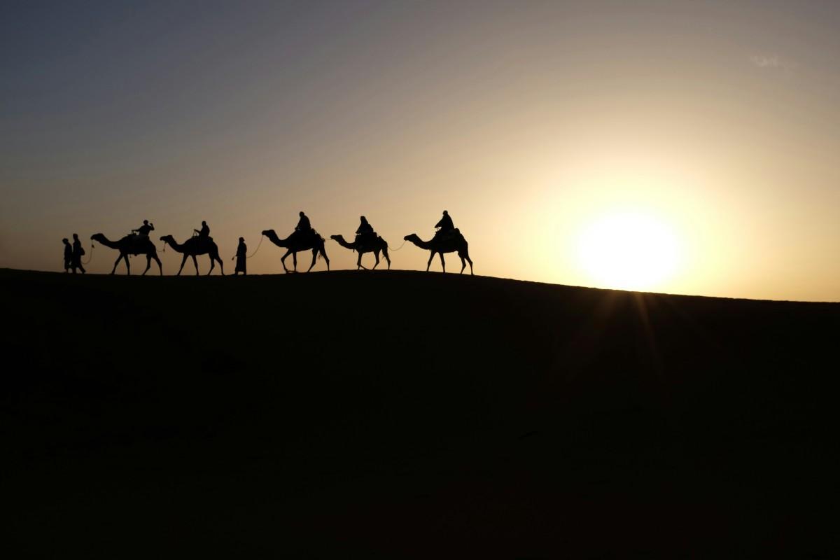 Riyadh Season 2024: Dunes of Arabia | LIST