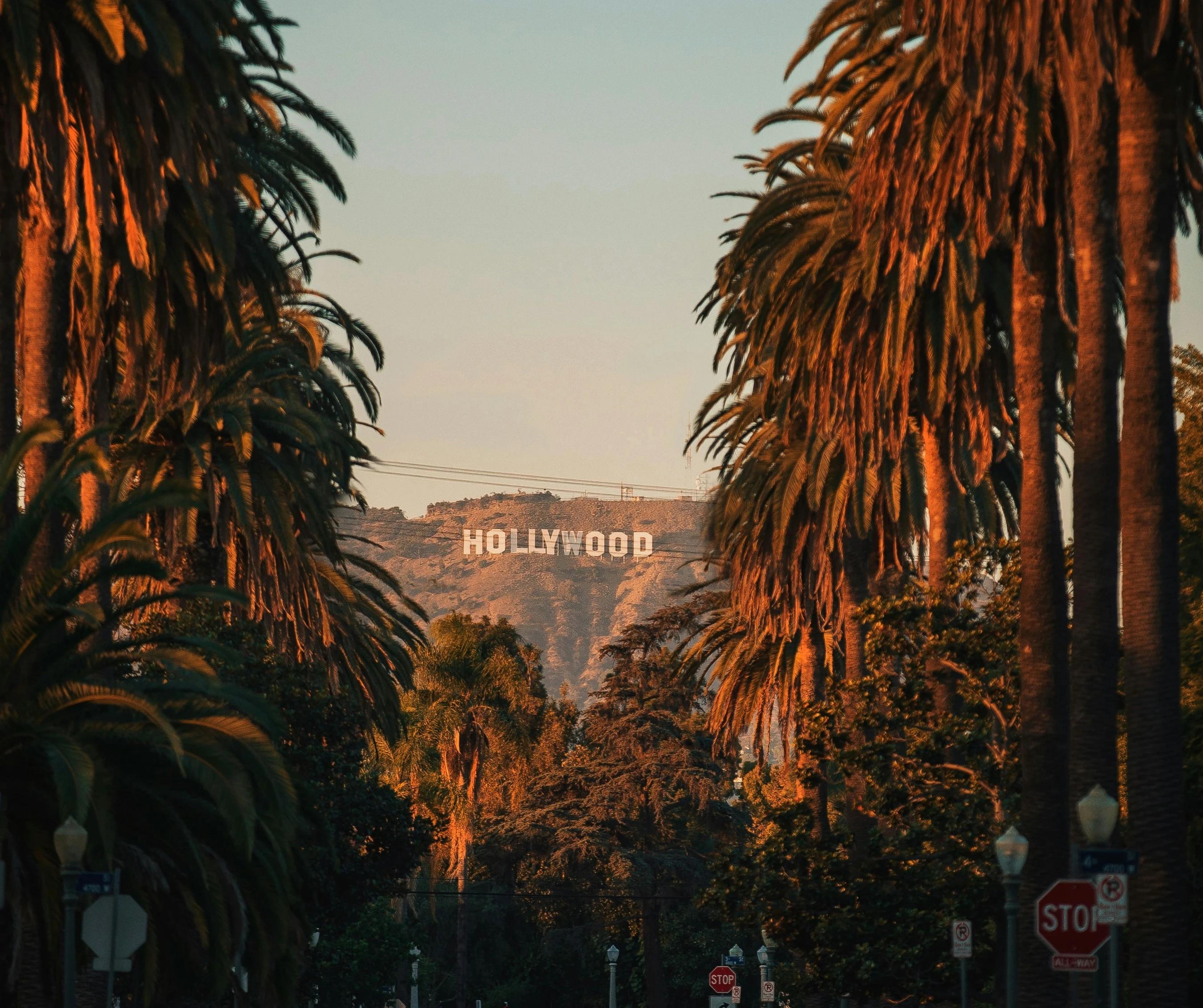 These are Hollywood’s hottest hangouts this Oscar Season