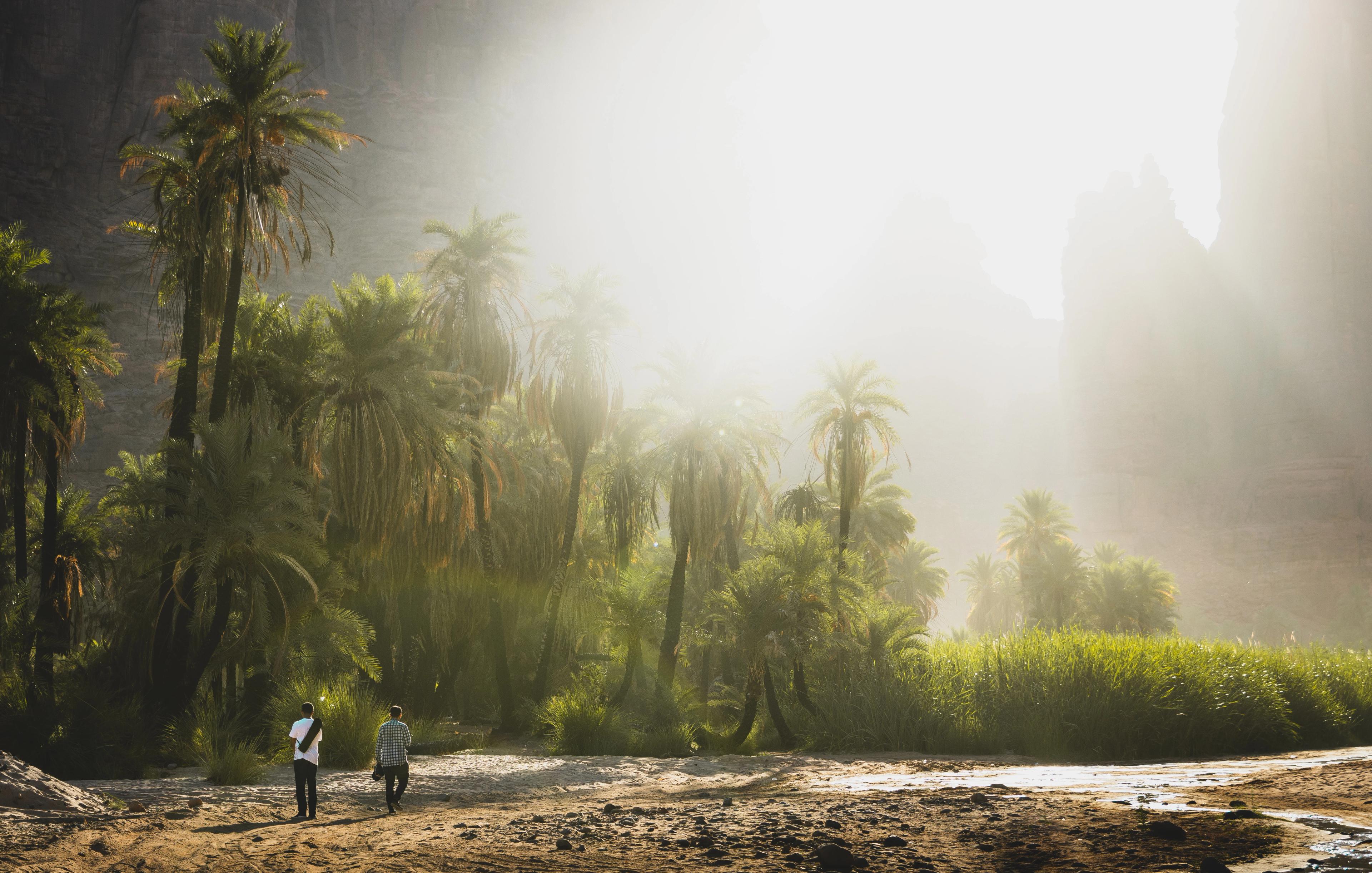 The best things to do in Tabuk