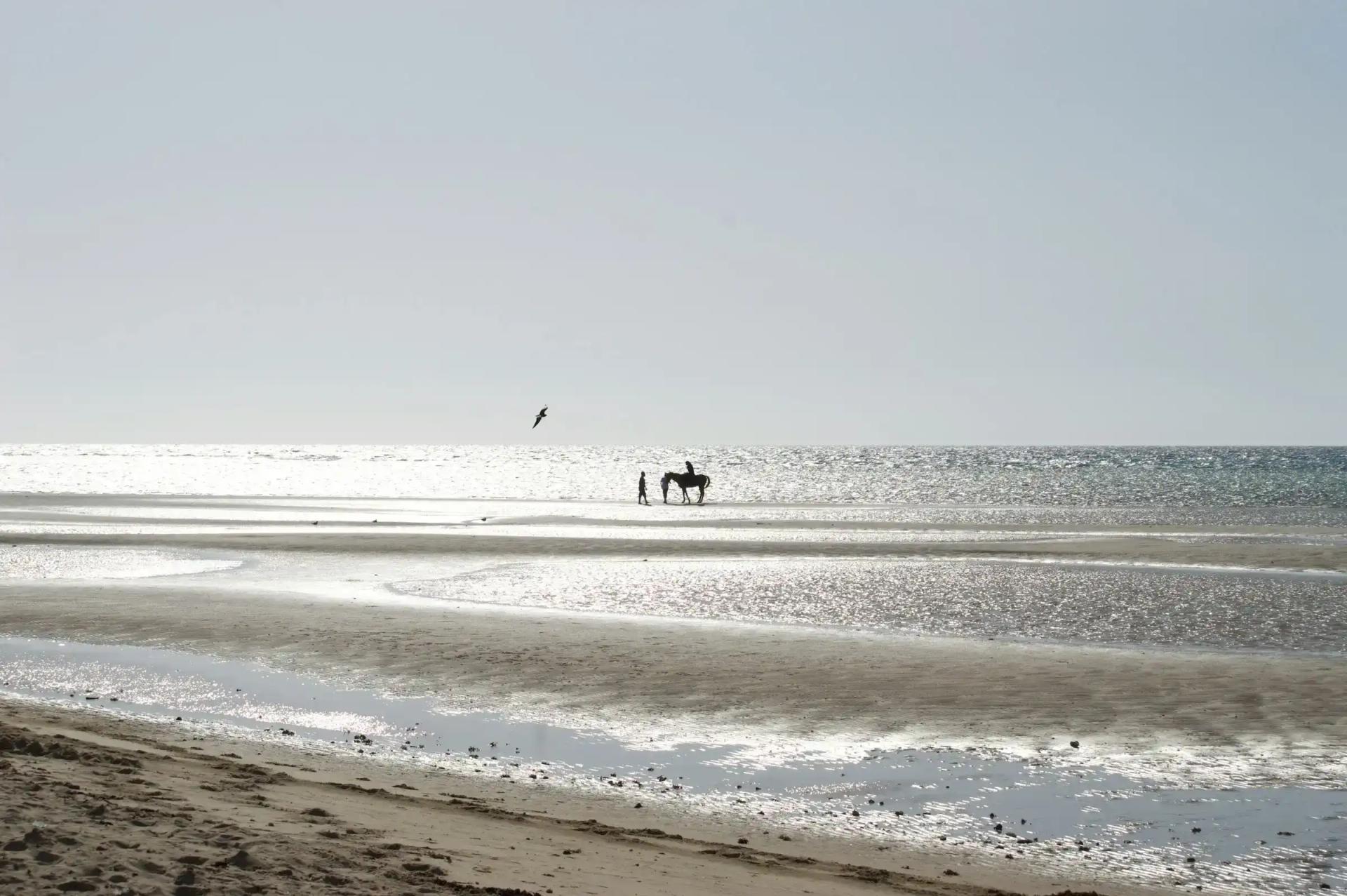 The best beaches in Tabuk Province