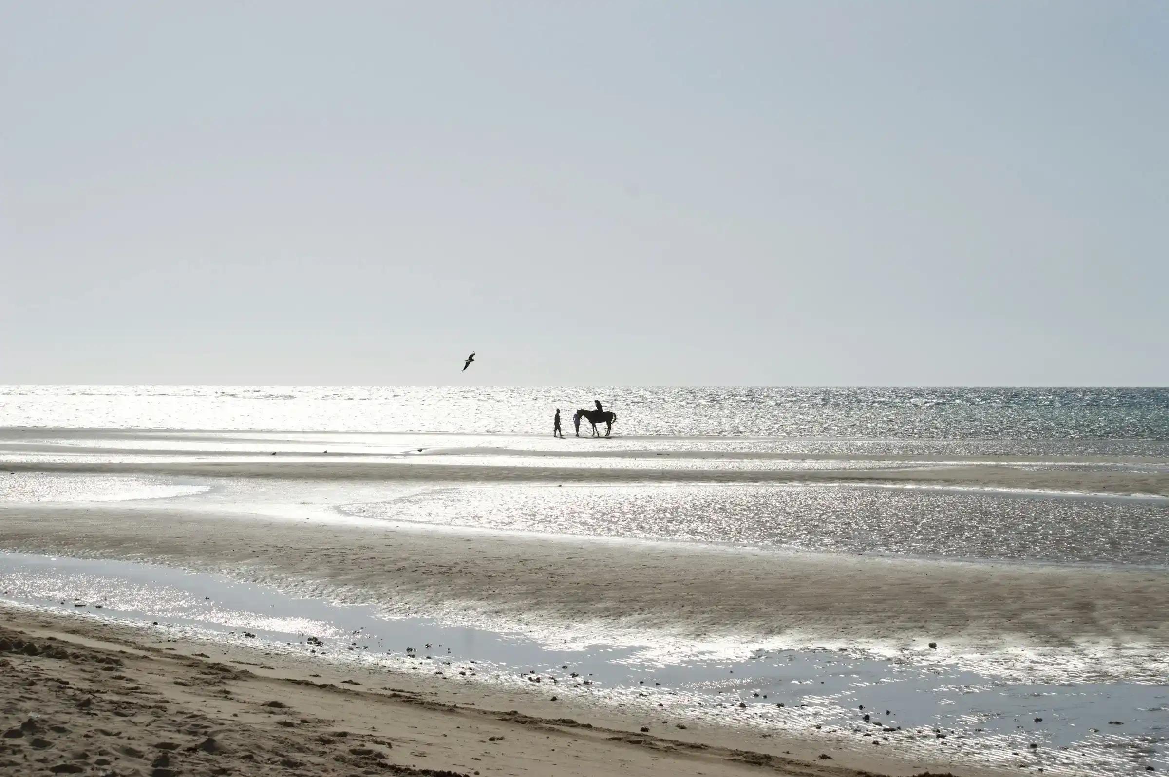 The best beaches in Tabuk