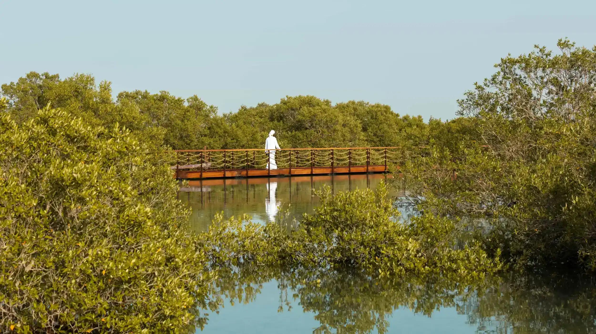 The best nature reserves in the United Arab Emirates
