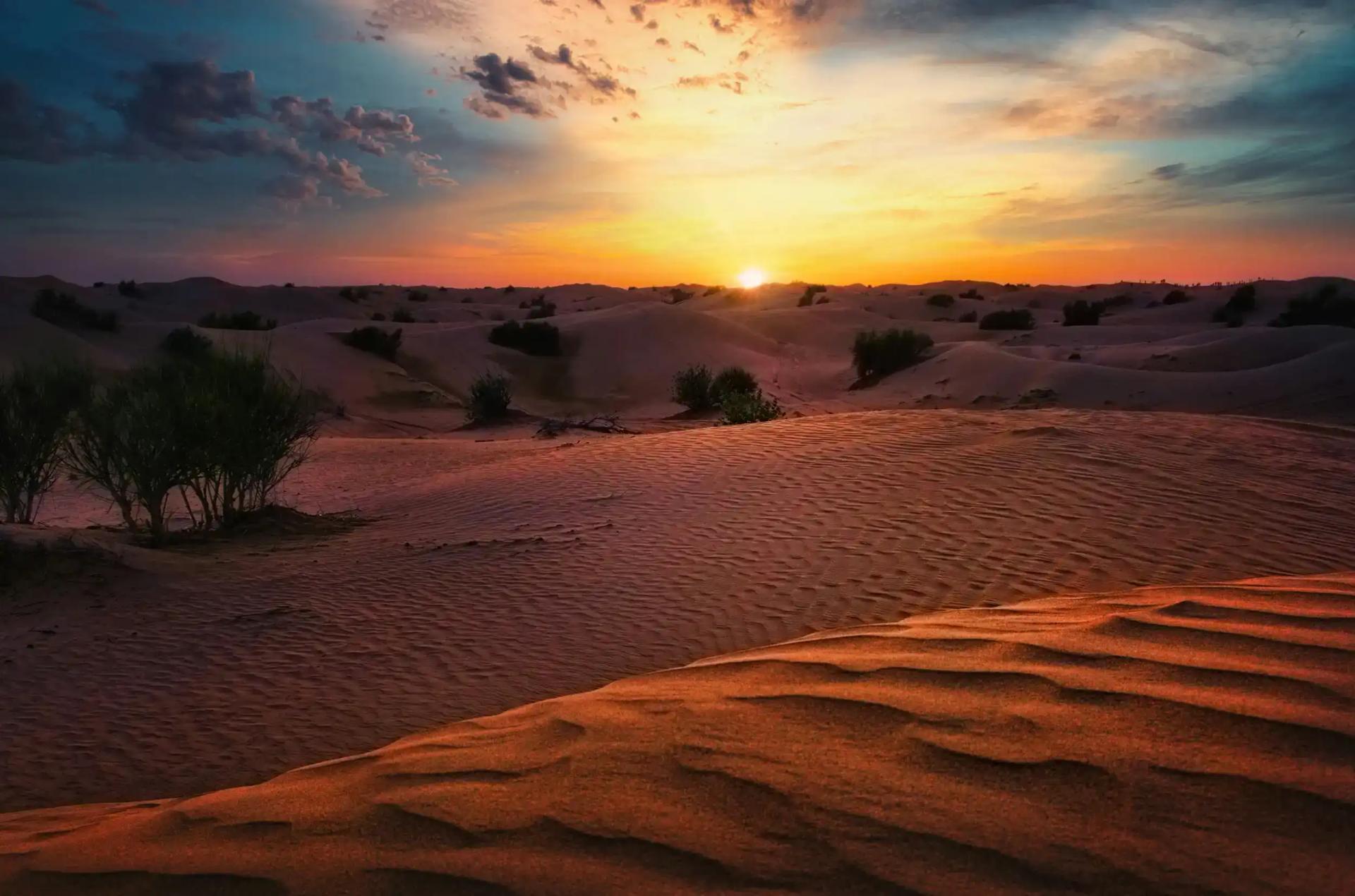 Top things to do in Dubai for couples