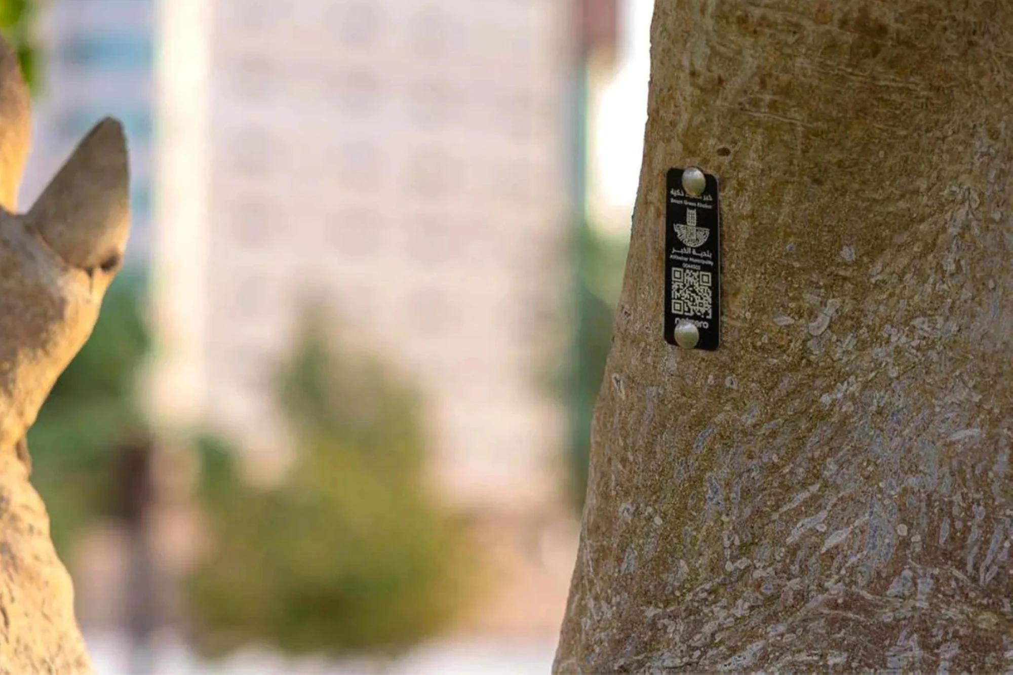 Al Khobar goes green with 100,000-tree smart tagging project