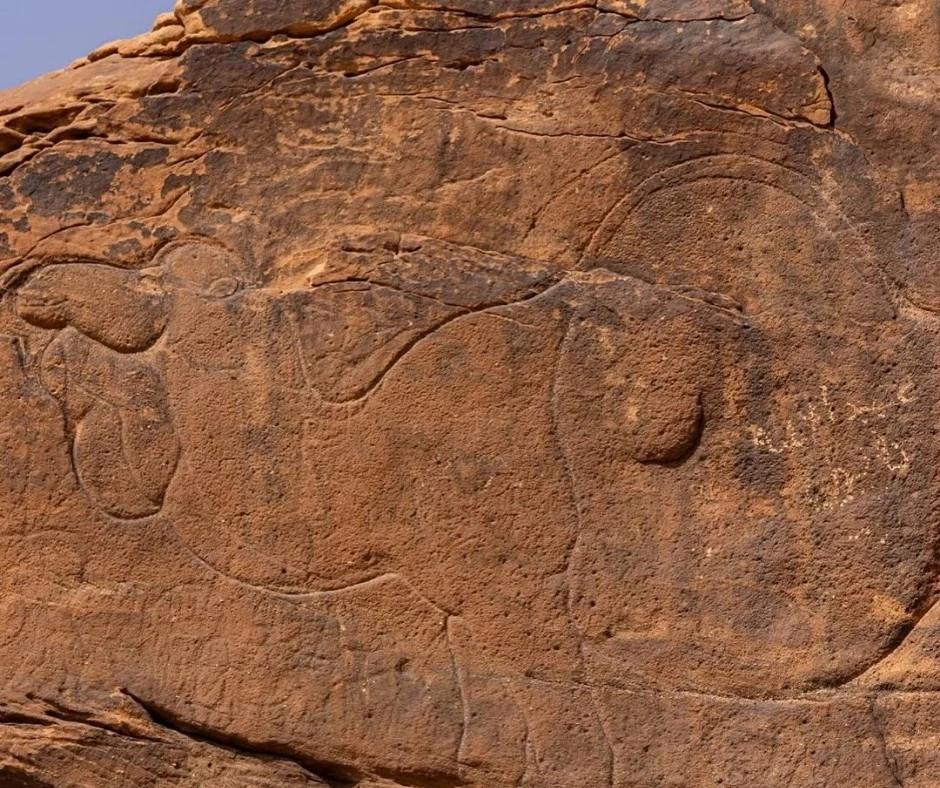12,000 year old rock art retraces history of human presence in Arabian Desert