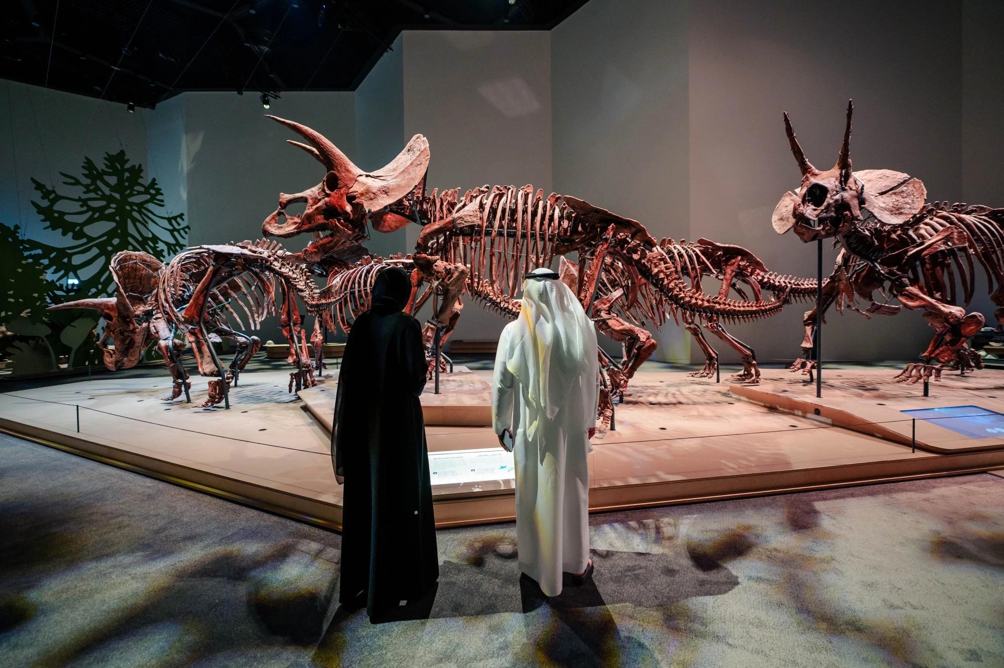Abu Dhabi opens the Natural History Museum, featuring world-first dinosaur displays