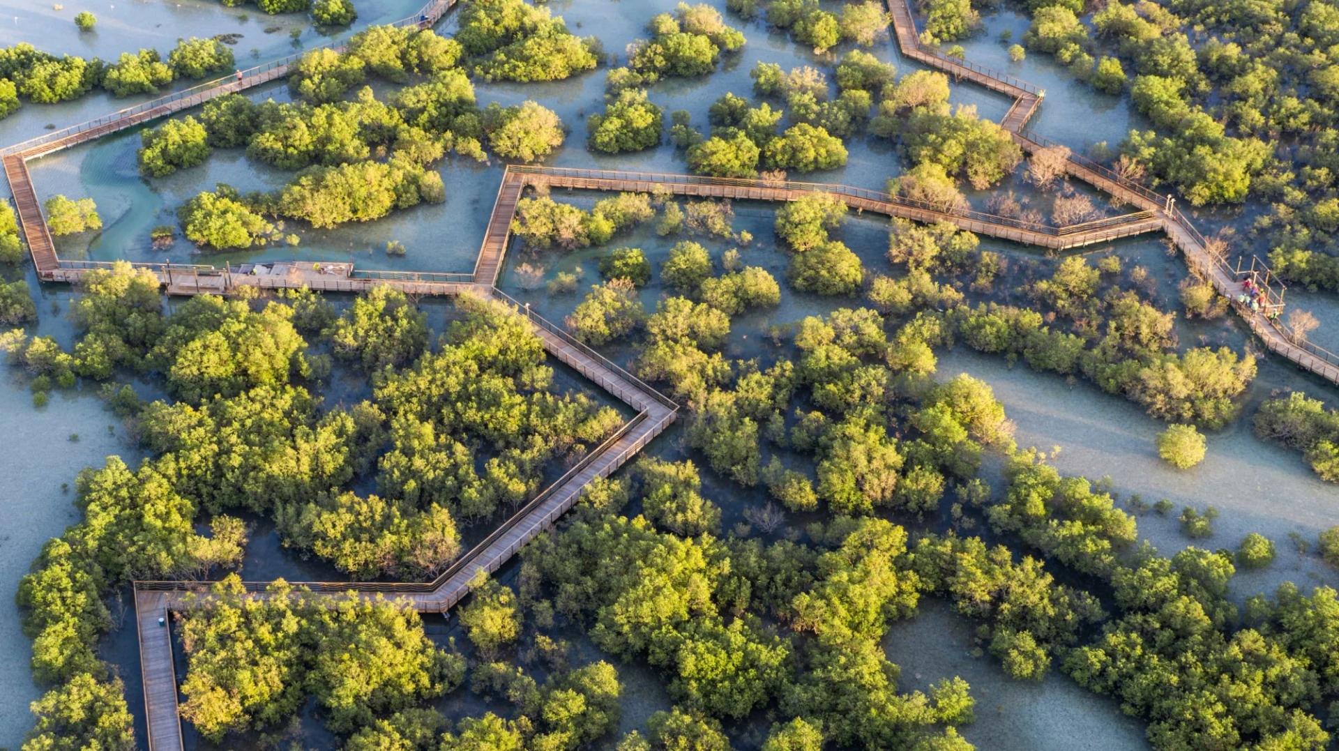 The best hikes in and around Abu Dhabi