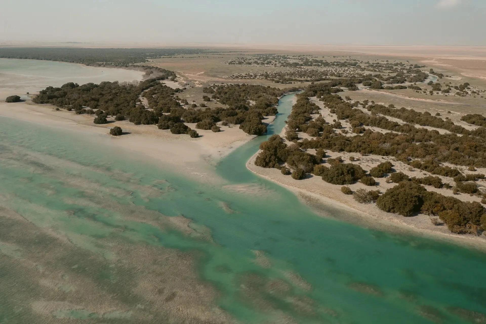 The best nature reserves and parks in Qatar