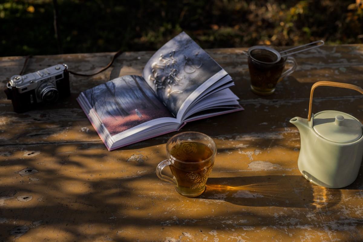 رحلة بين دفتي كتاب