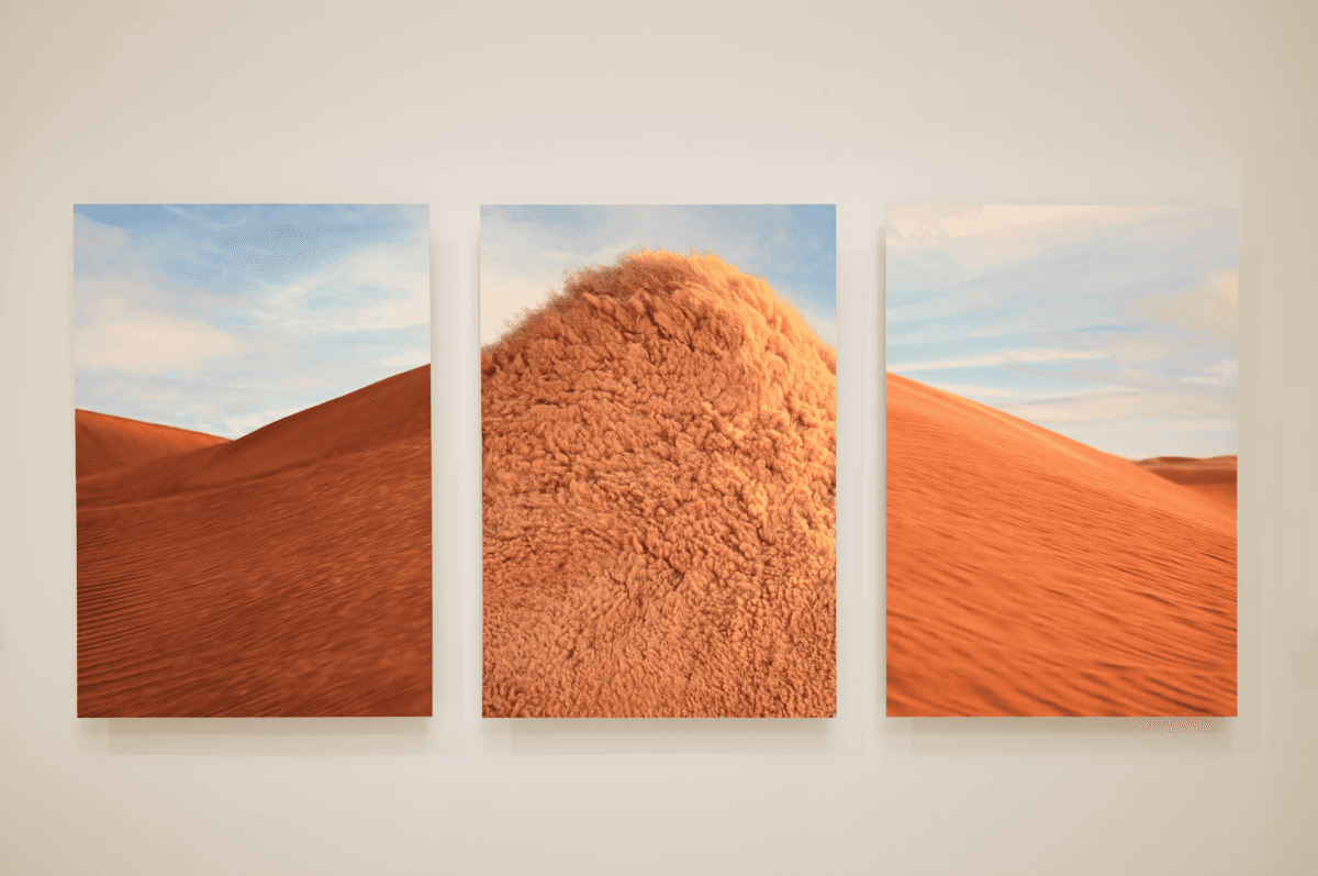 معرض إثراء الأخير "من الأرض"