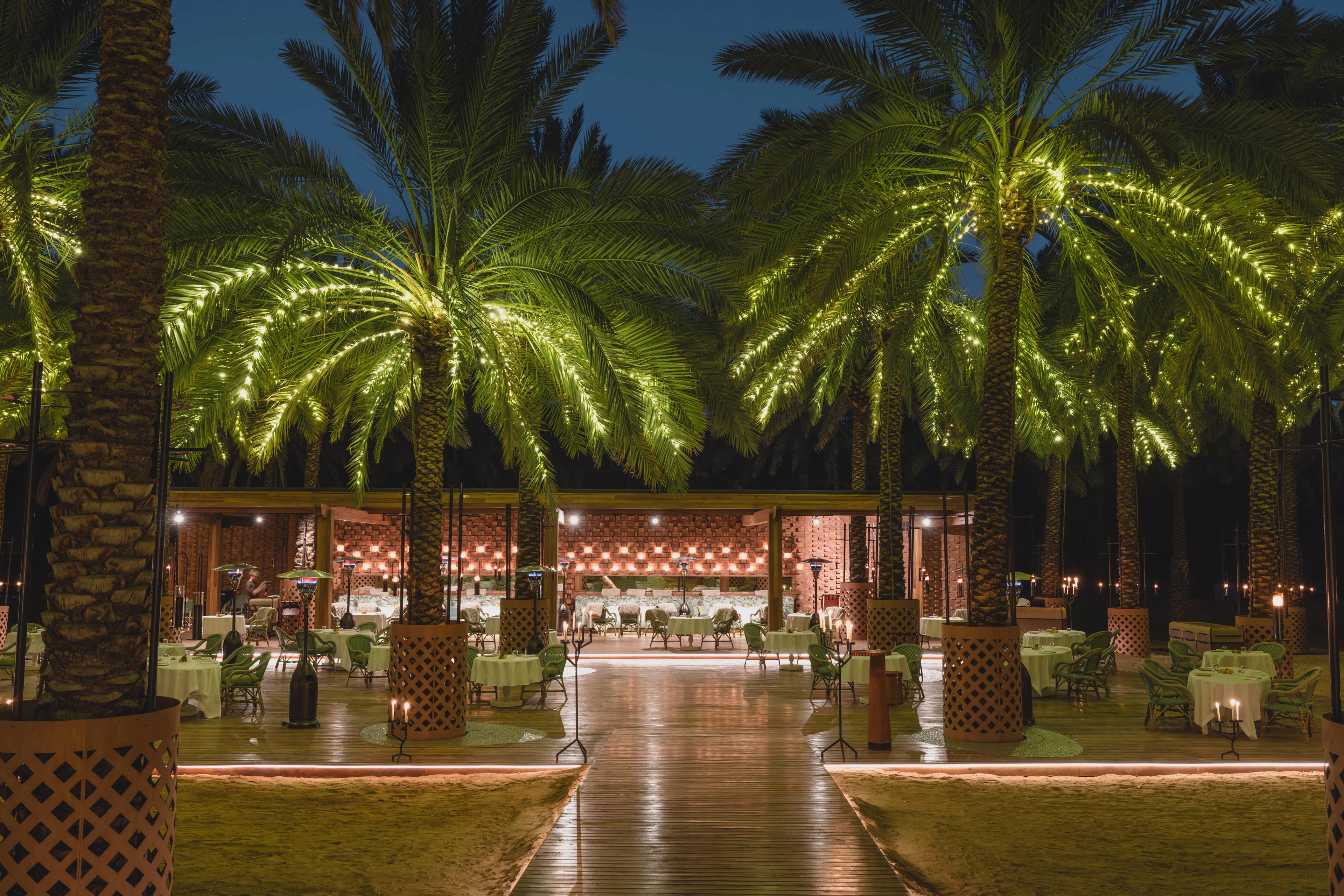 تحت نخيل العلا: غداء خاص مع آلان دوكاس