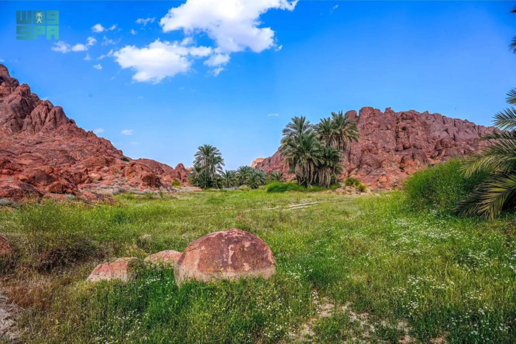 قمم وعرة وواحات خفيّة: جبال أجا وسلمى حلم المتنزهين