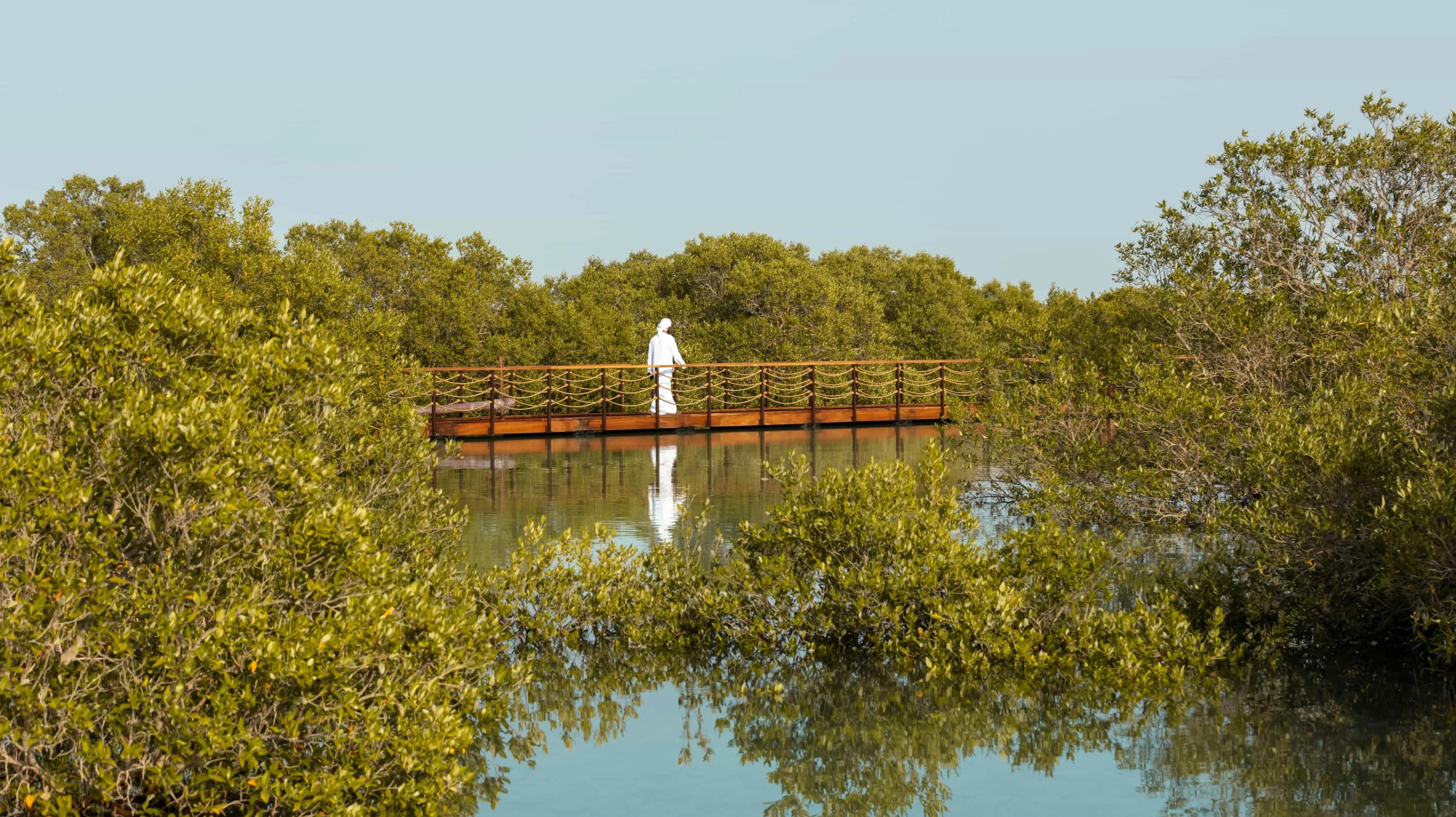 هذه المحميات البرية في الإمارات تستحق الزيارة، خطّط الآن