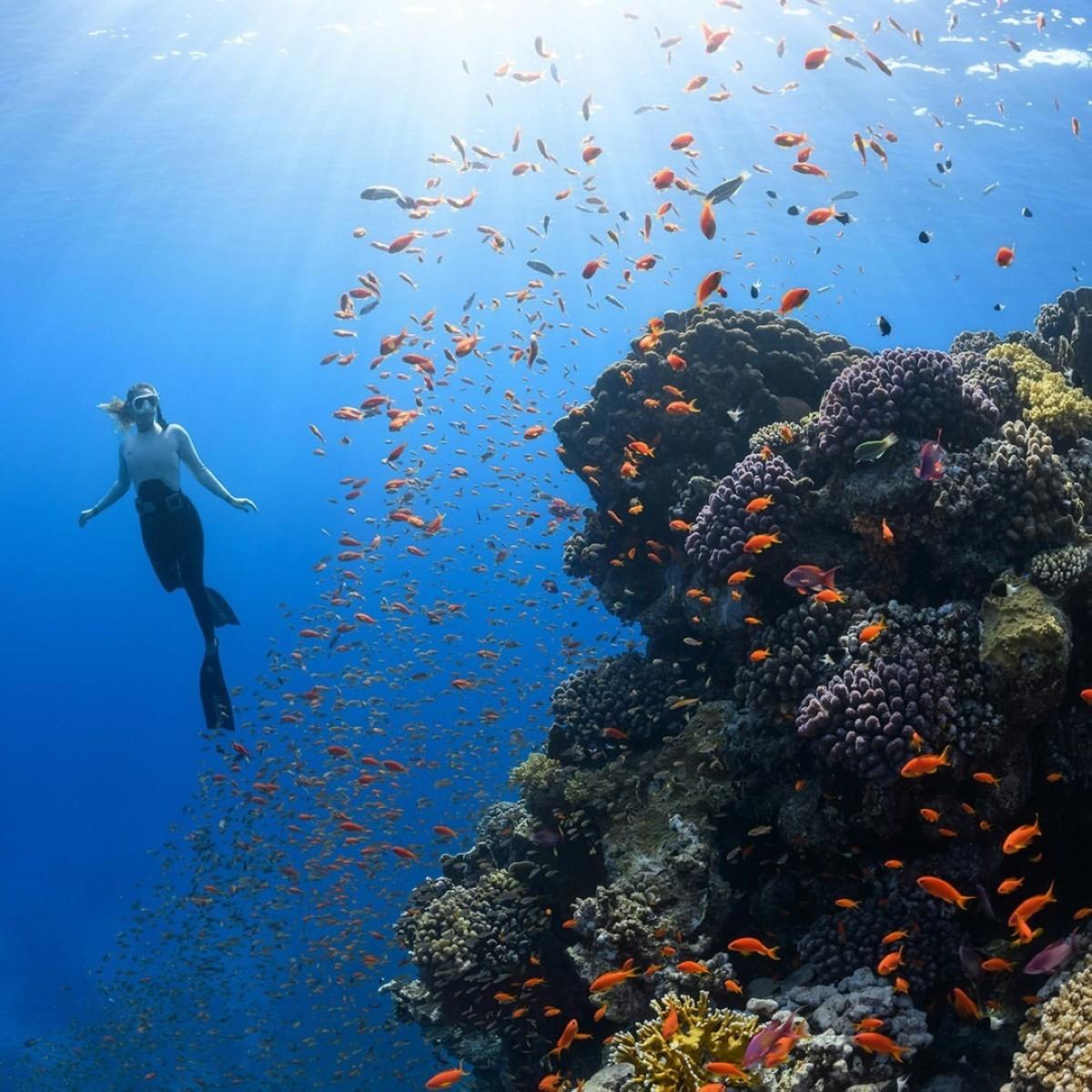 Saudi invites visitors to discover the Kingdom's most refreshing destinations