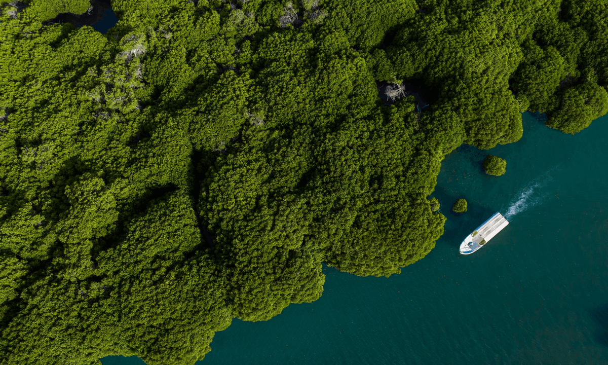 The unexplored treasures of the Farasan Islands