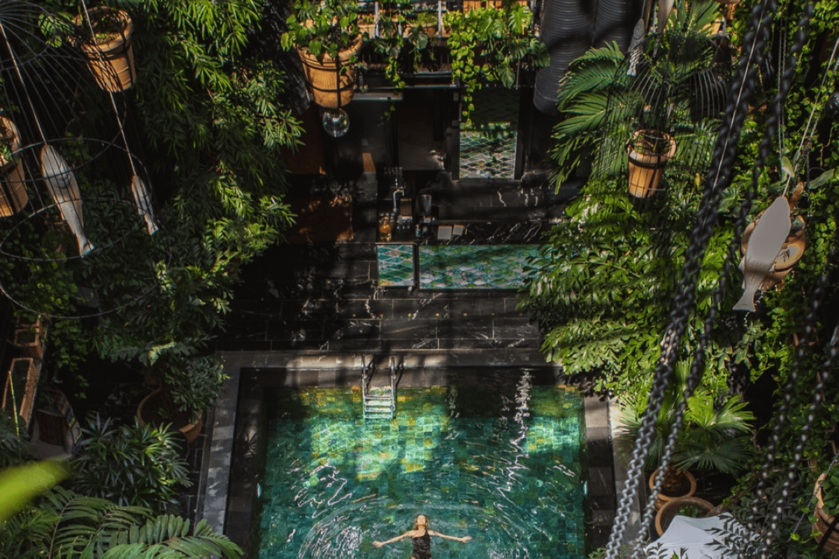 A slice of jungle paradise in the heart of Copenhagen
