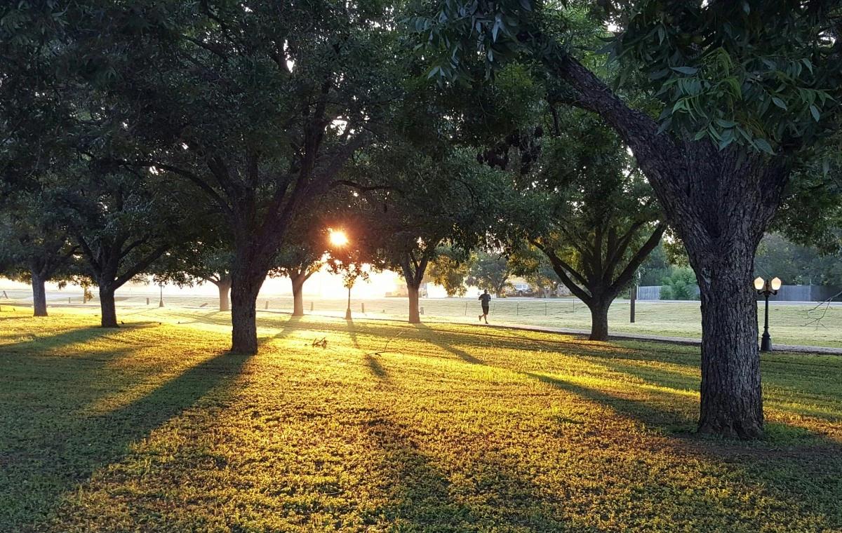 The best parks in Dammam: family fun in open spaces