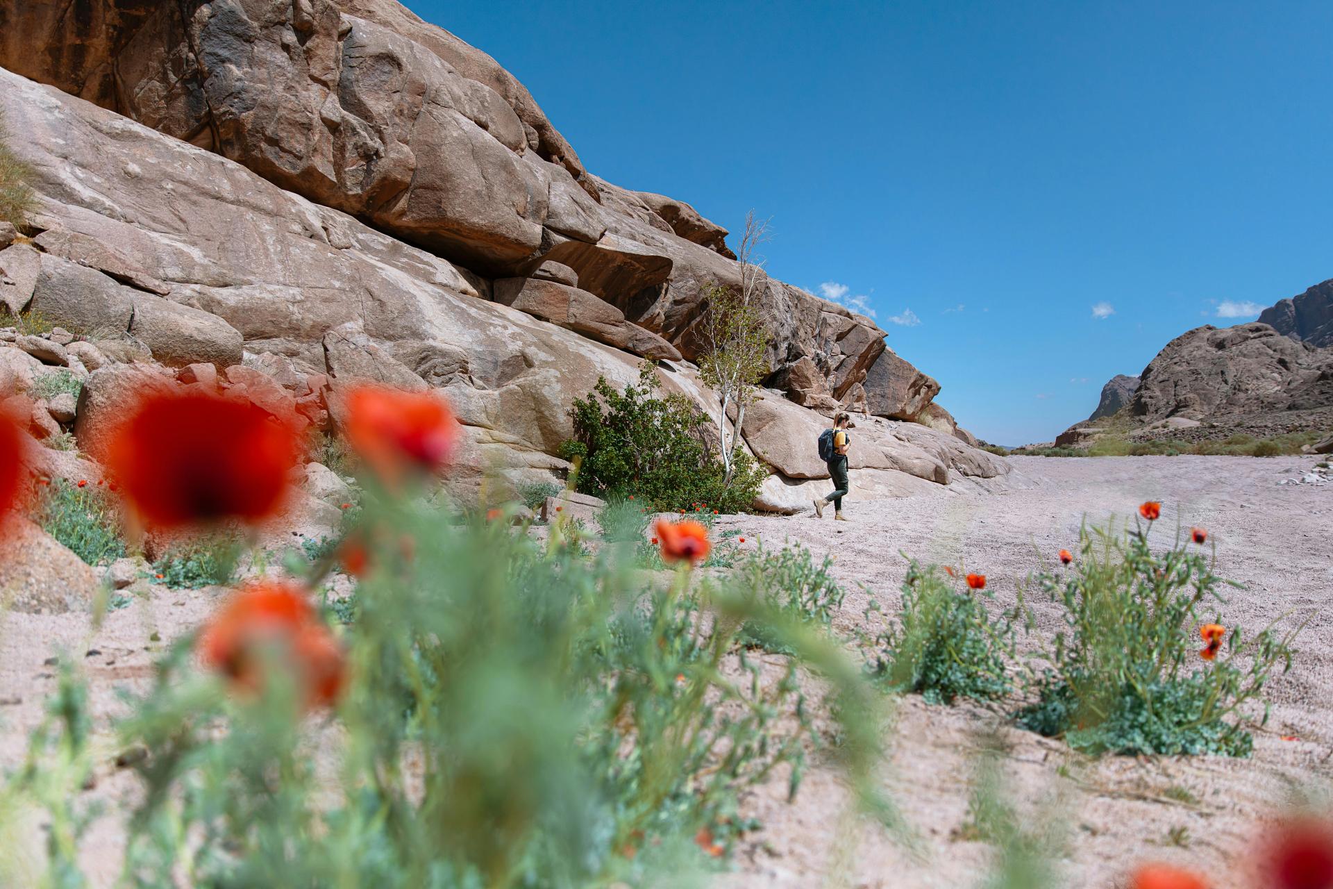 The best hikes in and around Dammam