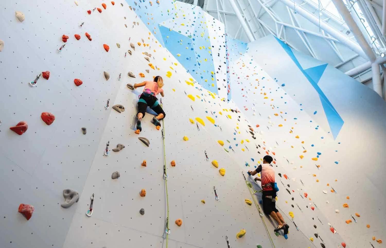 The best theme parks in Abu Dhabi