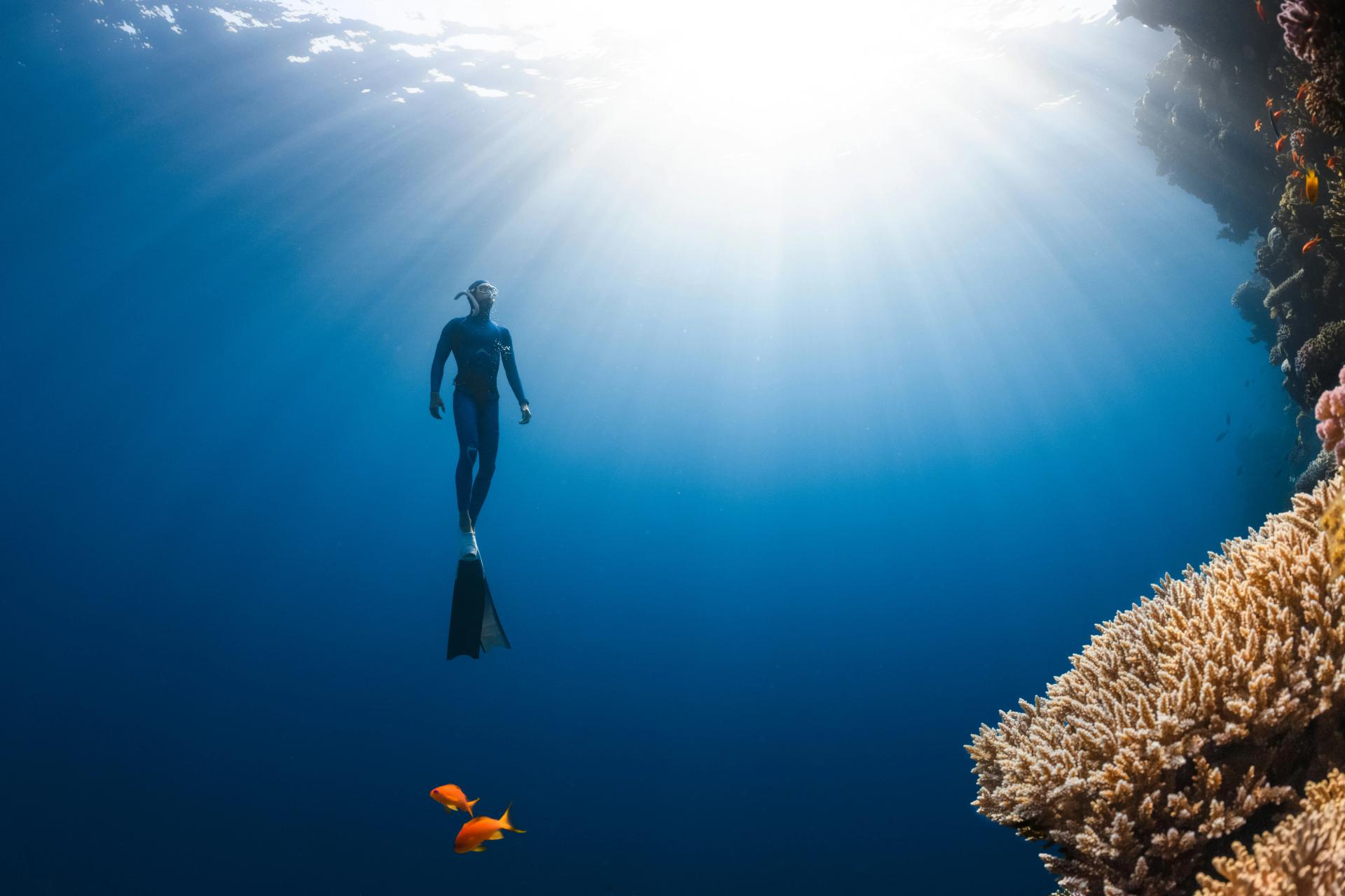 A diver floating to the surface the Red Sea
