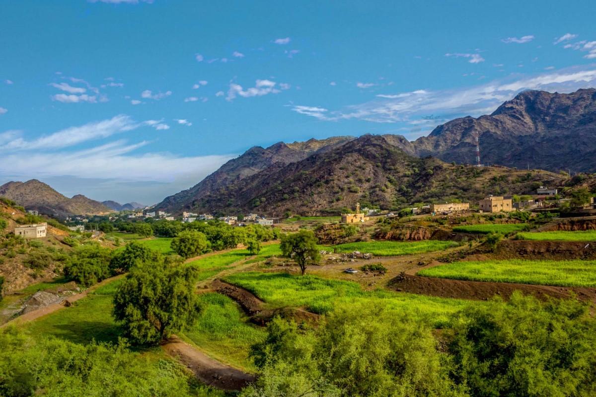 5 جهات تستحق الزيارة في المملكة خلال فصل الخريف