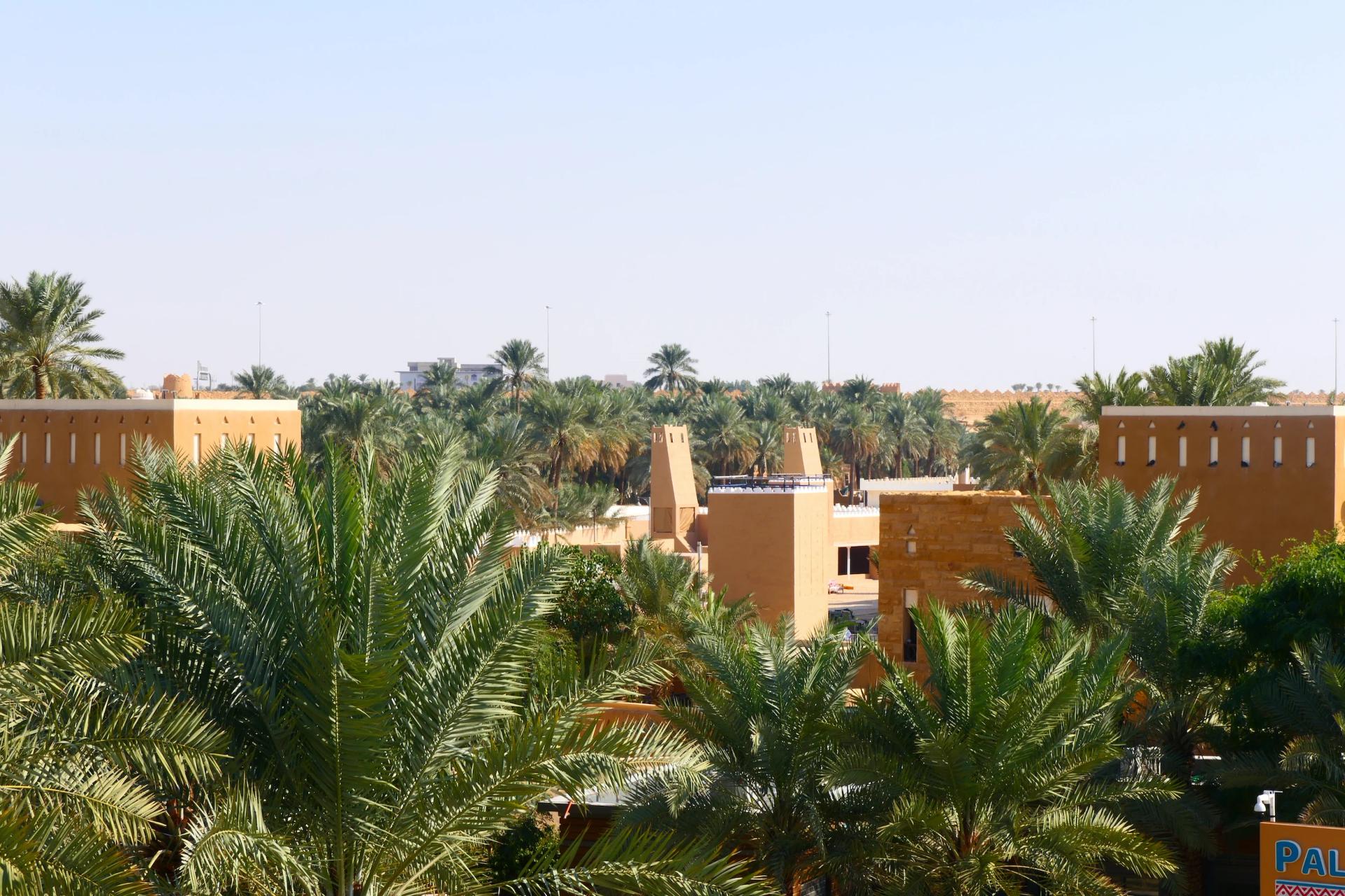 الخطوط السعودية تحتفي باليوم الوطني بأسعار رحلات تبدأ من 95 ريالاً